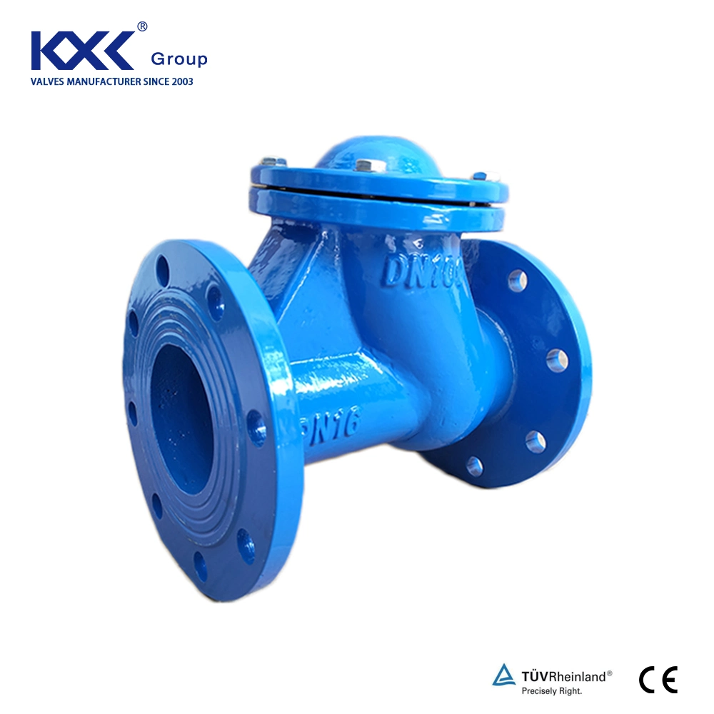 Ductile Iron Body/Swing Check Valve/Daul Plate Check Valve/Non Return Valve/Rubber Check Valve/Owe Way Check Valve/ Ball Type Check Valve