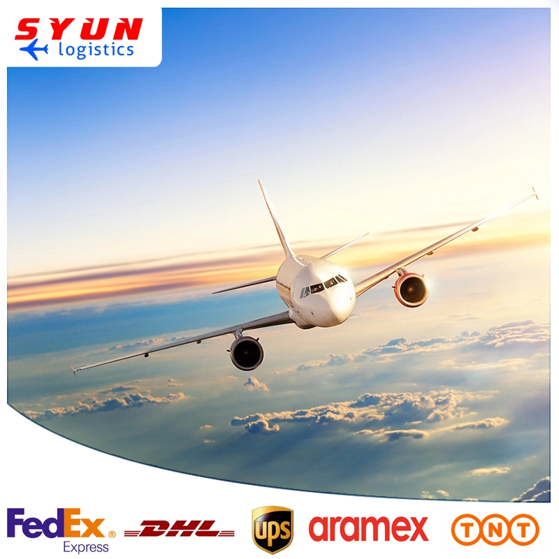 Cheap Logistics Express Services DHL FedEx UPS From China to Nepal