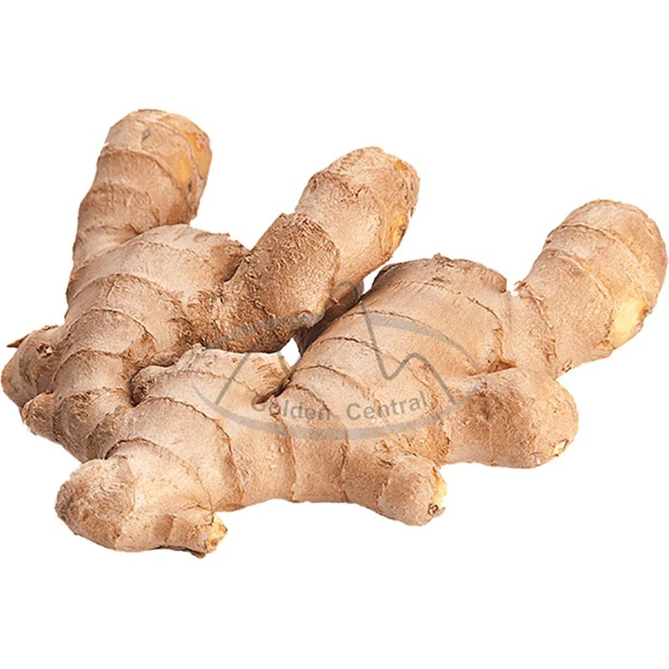 New 2023 Crop Ready for Delivery Fresh Ginger