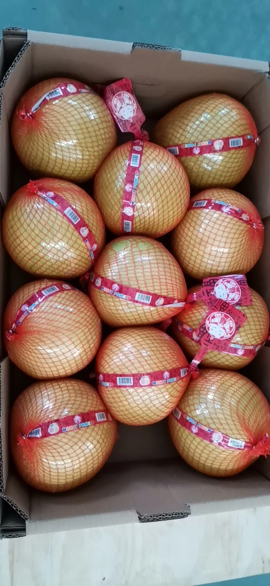 Wholesale/Supplier Chinese Sweet Honey Pomelo Natural White