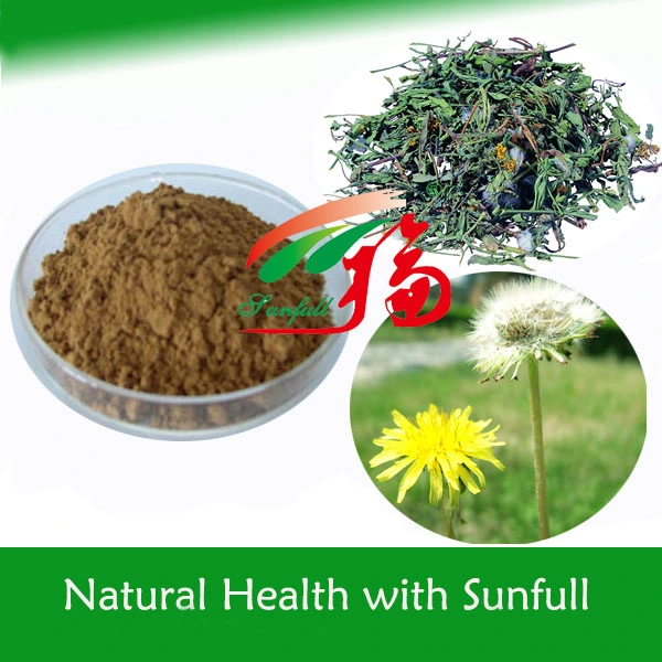 Dandelion Extract Used in Animal Feed