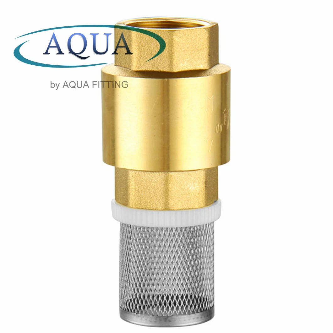 Original Factory Brass with Mesh Check Valve Stainless Steel Web Filter Mesh