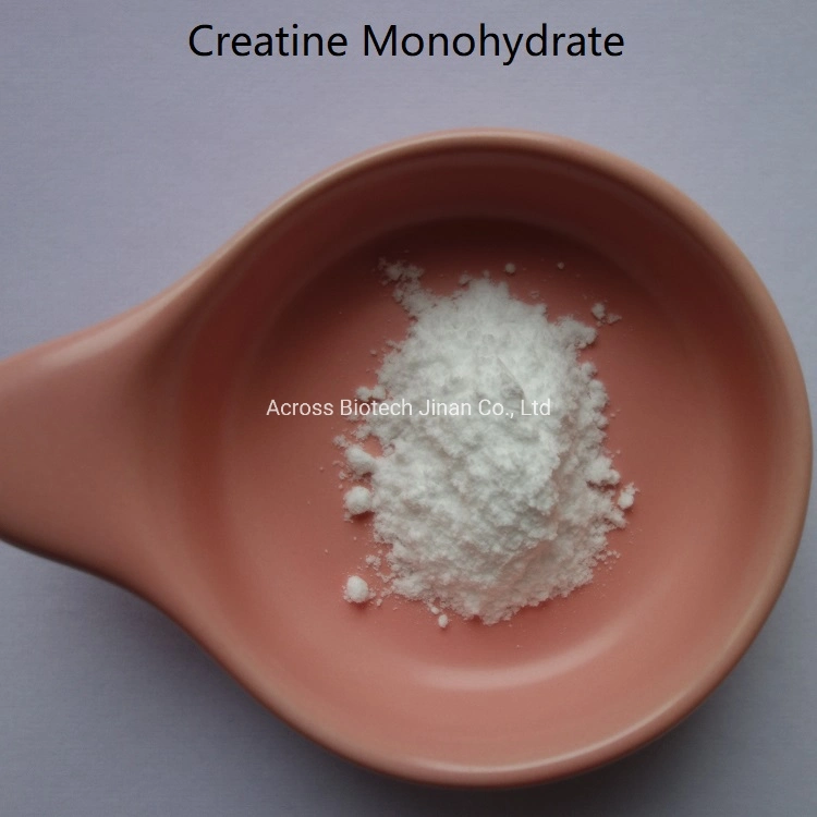 Come to Us to Buy Creatine Monohydrate CAS 6020-87-7 at Affordable Price