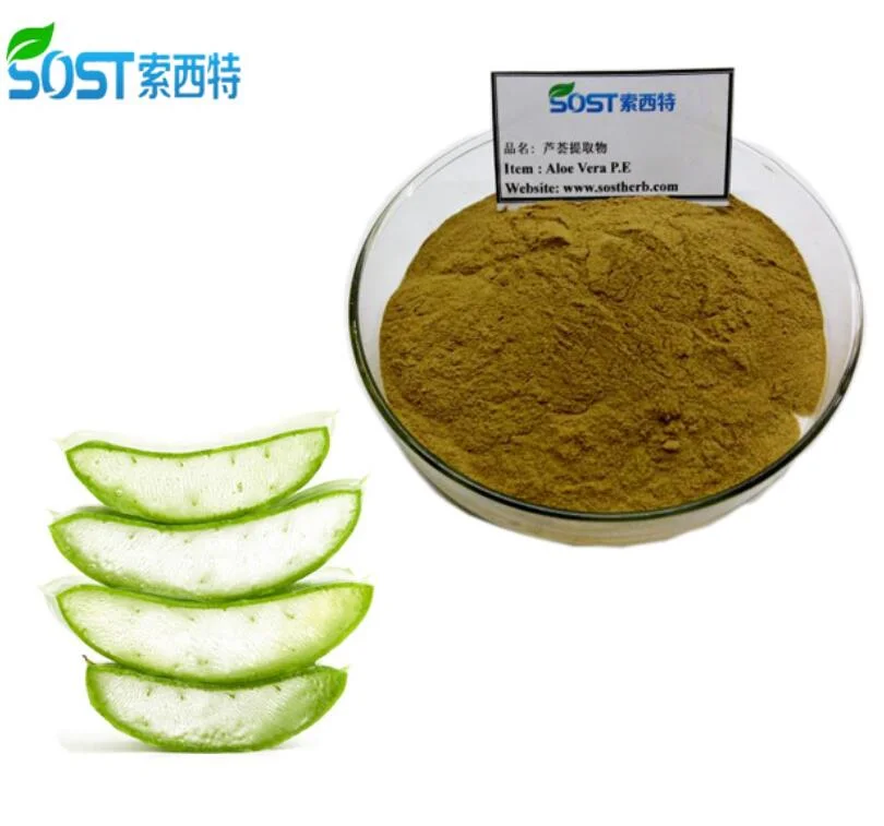 SOST 10 Years Manufacture 100% Natural Powder Aloe Vera Extract Powder