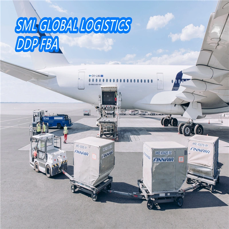 Agencia de transporte aéreo de Guangzhou y Shenzhen y Shanghai y NINGBO/Qingdao/Xiamen/Tianjin a Alemania y Francia DDU/DDP Service