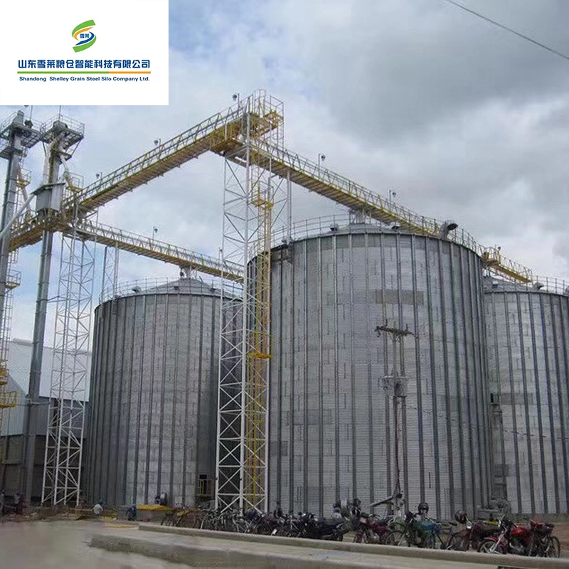 Shelley 1 Ton Grain Bin China Steel Silo Manufacturers 9000t Flat Bottom Wheat Steel Silos Automatic Silos