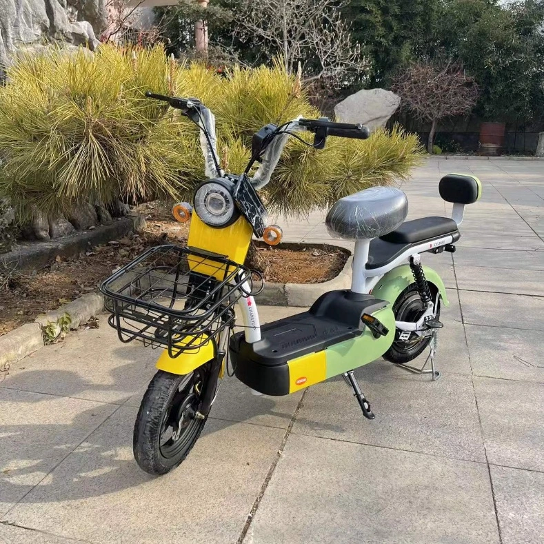 Southeast Asia New Design 48V Electric Bicycle Vehicle with Pedals