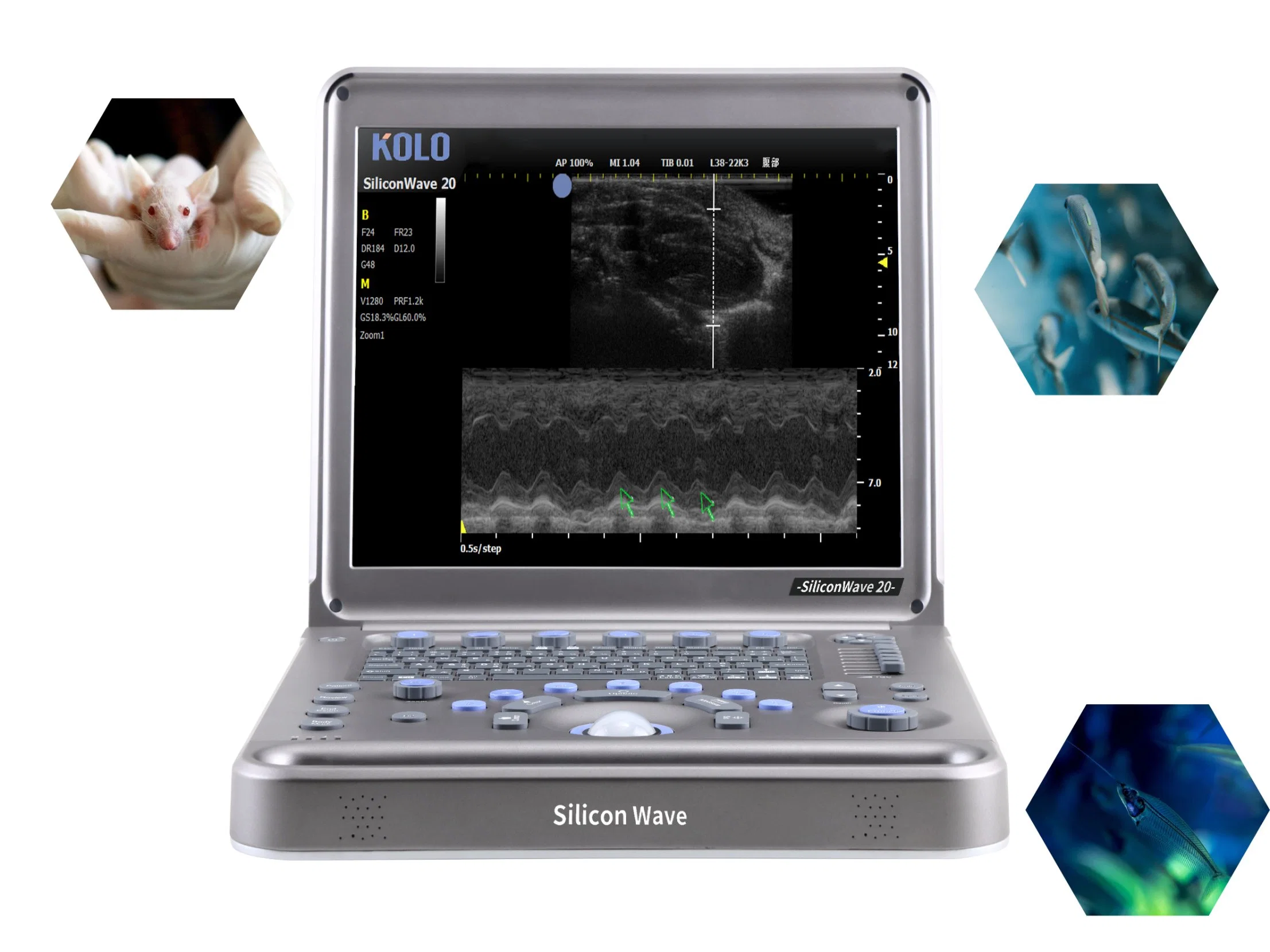 B/M Mode Handheld Ultrasound Scanner for Laboratory Animals