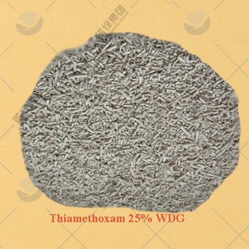 Hot Sell Pestizide Thiamethoxam 98% Tc, 25% Wdg