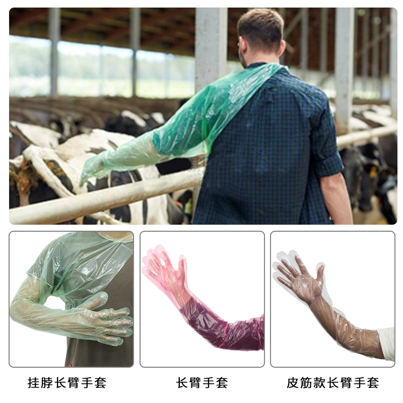 PE Vet Gloves Disposable Polyethylene Plastic PE Long Sleeve Gloves