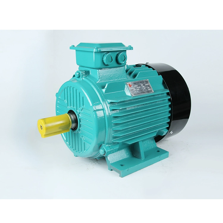 18.5 Kw IP 55 Adjustable Speed AC Electric Motor