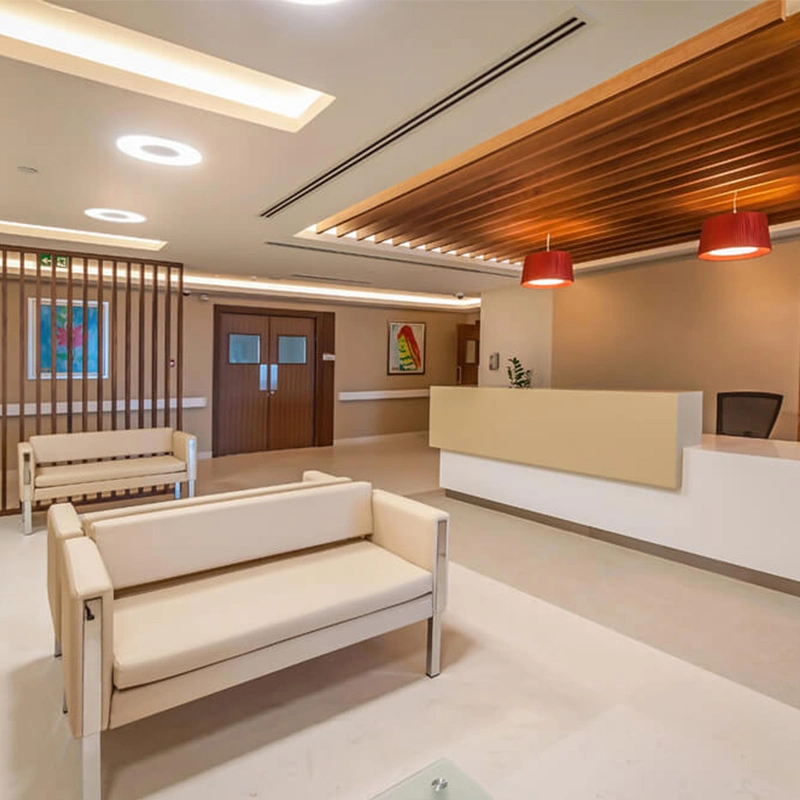 Health Management Modern Hospital Waiting Room Lobby Furniture Custom Design Healthcare Sleeper Sofa for Patients