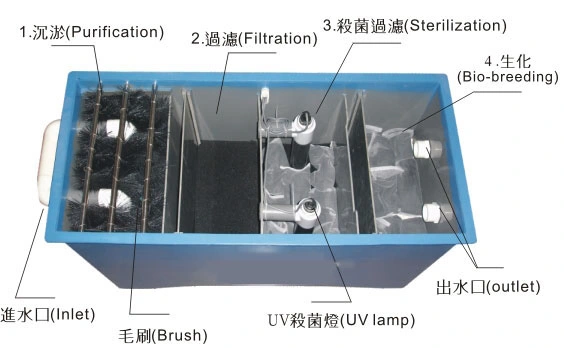 Fish Hatchery Box Biofilter Equipment إعادة تدوير نظام تربية الأحياء المائية الزراعة Biofilter