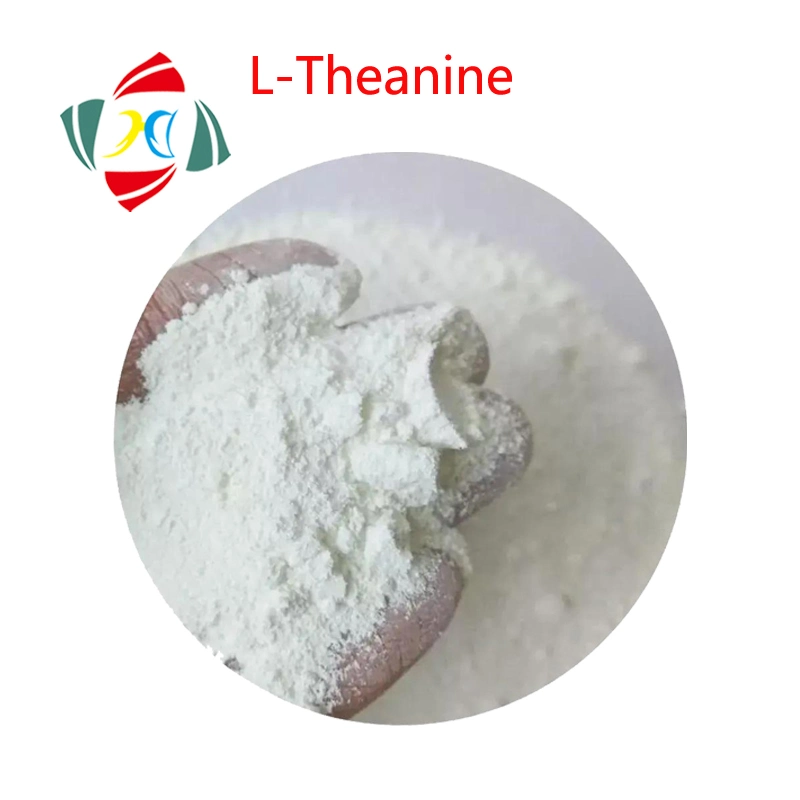 Wuhan HHD أفضل سعر Nootropics L-Theanine Powder CAS 3081-61-6