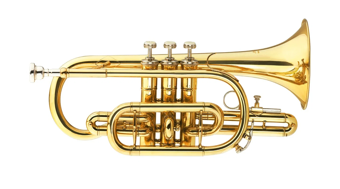 Good Cornet Gold Lacquer for Beginner