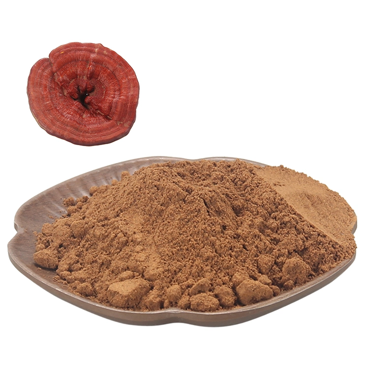 Ganoderma Lucidum Mushroom Extract 15: 1 Dual Extract Reishi Mushroom Extract Reishi Powder Water Soluble