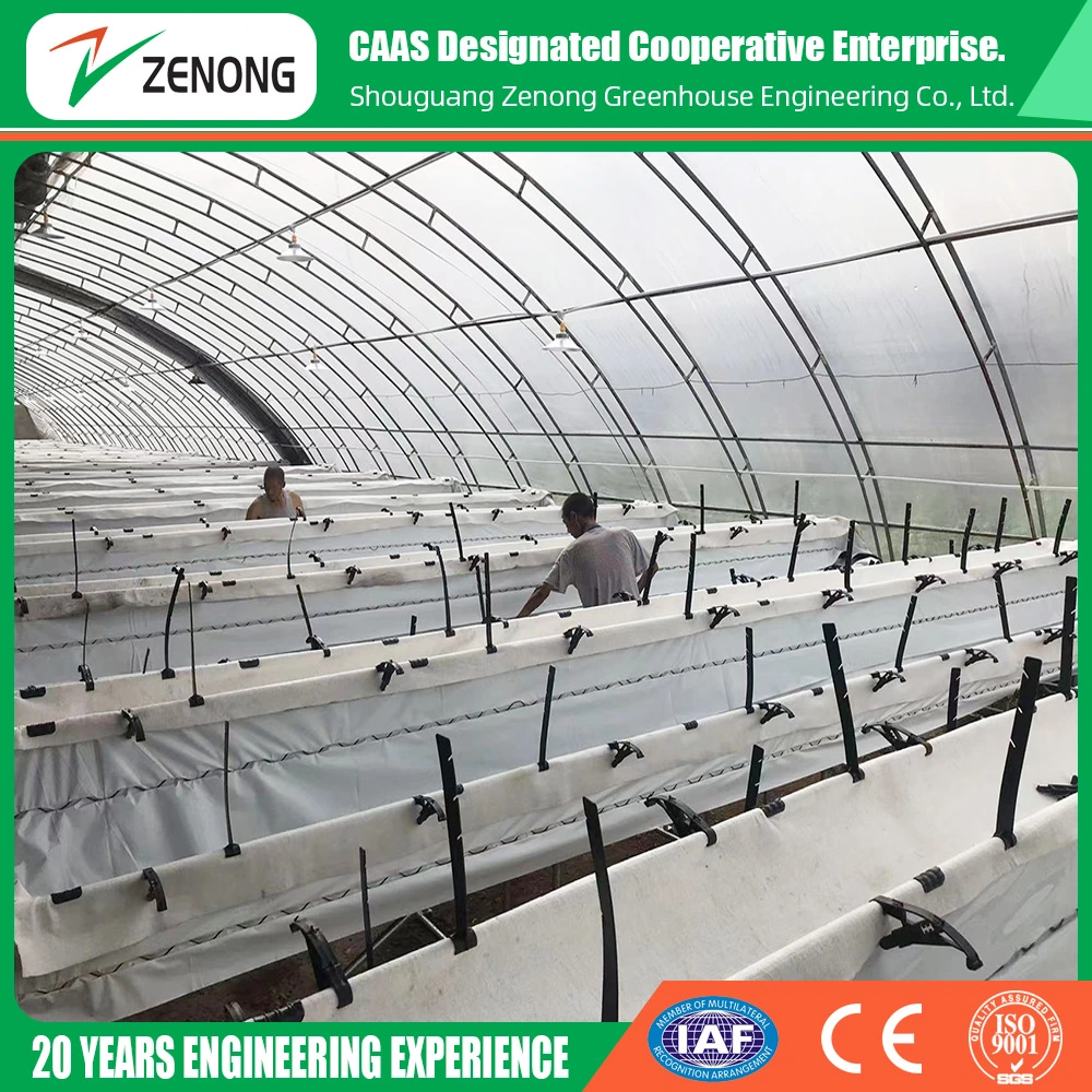 Easy Installation Solar Greenhouse Air Insulation Wall Green Houses Oval Tube Green House with Quilt for Cold Area Agriculture Vegetables Planting