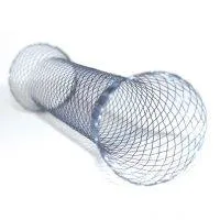 Stent intravascular