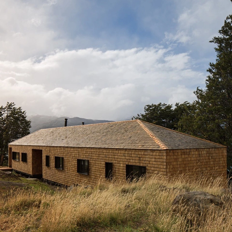 Übersee-Projekt natürliche Korrosion und Insektenschutz Western Red Cedar Schütteln/Kies