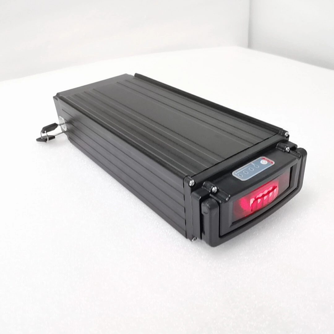 2022 Jingnoo Factory Aluminum 250W/500W 48V Powerful Motor Electric Bike Battery