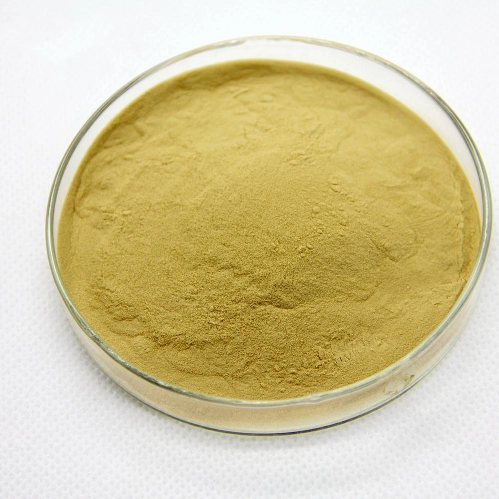 Good Quality Luteolin Powder CAS 491-70-3 Luteolin with Strong Anti-Oxidant