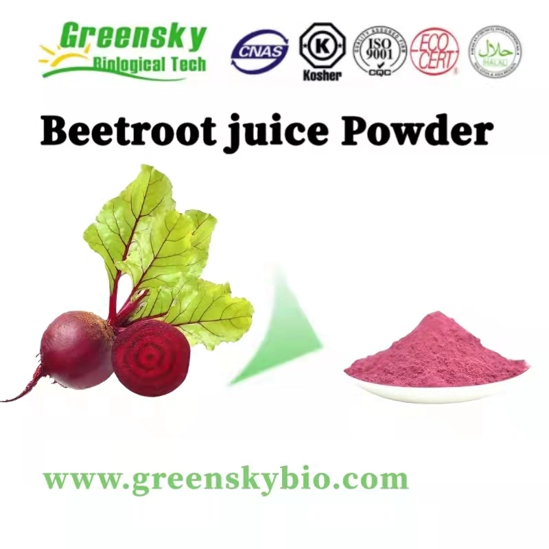 Polvo de jugo de remolacha Beta vulgaris L. rojo purpúreo en polvo más alta calidad Super Alimentos Raíz de remolacha orgánica natural puro Envío rápido