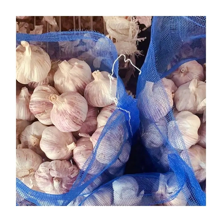 Garlic Packed with 3.2-3.8kg in Bag Garlic Price for UAE Qatar