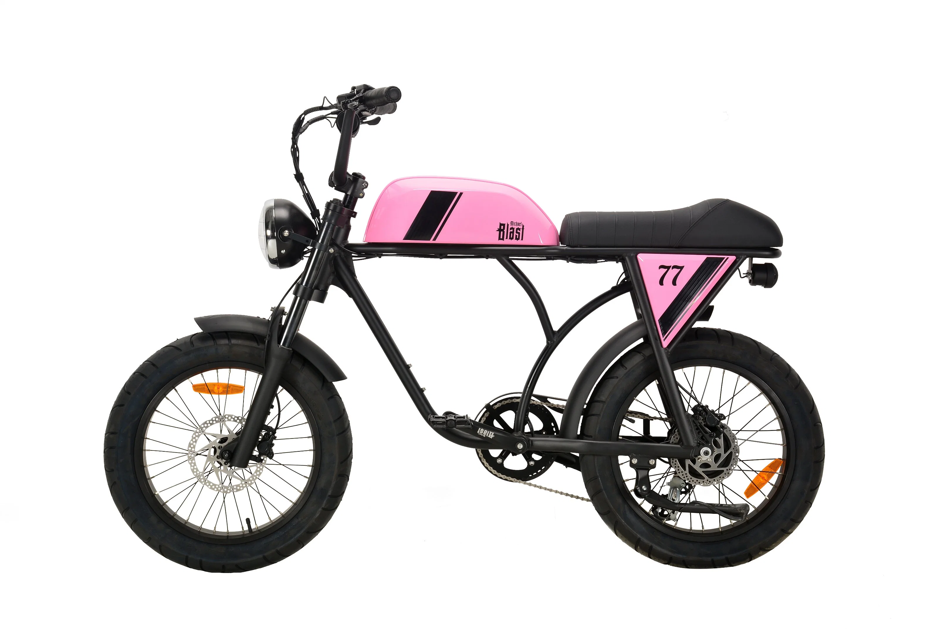 350W Ebike 36V 13ah Lithium Battery Electric Bicycle with CE/En15194
