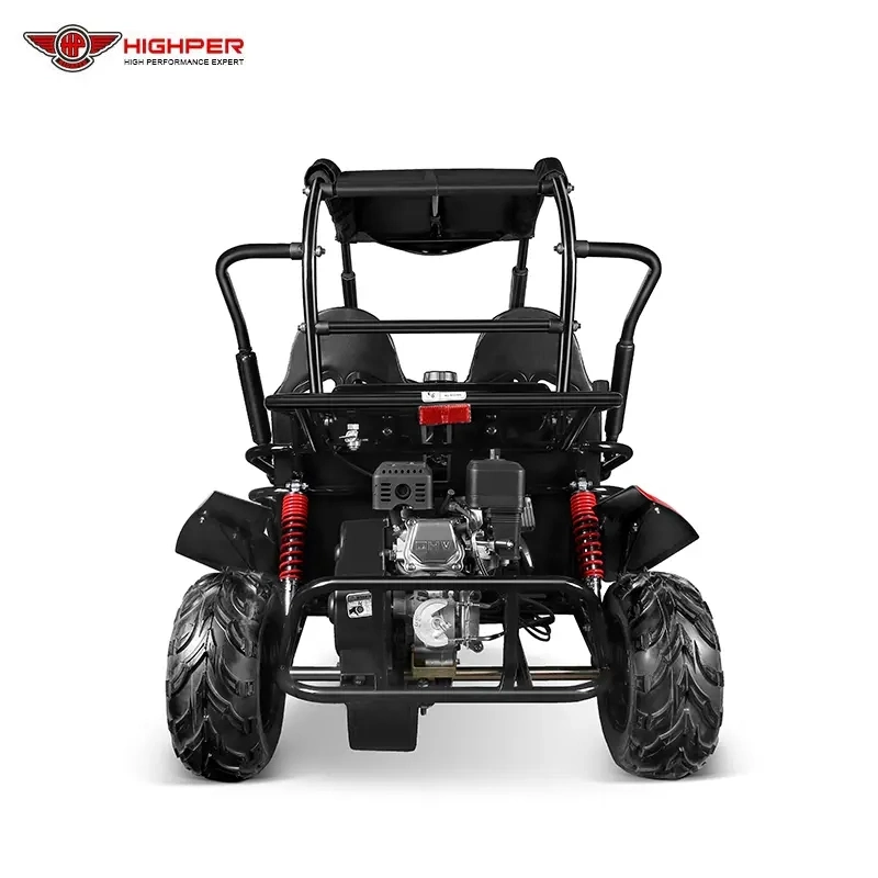 Gas Go Kart 200cc Crazy Buggy Car