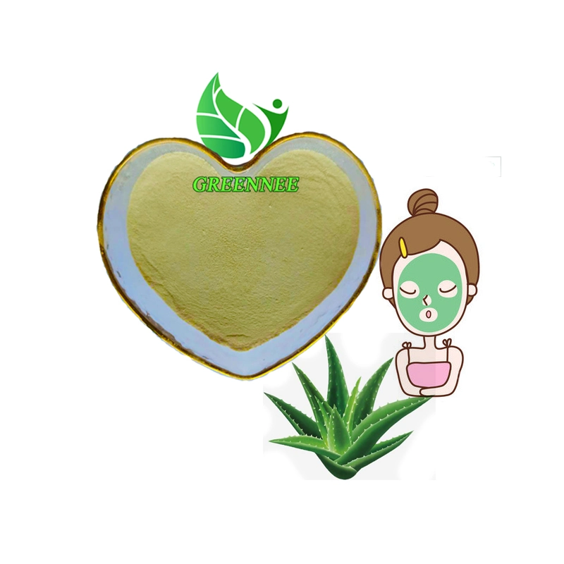 Aloe Vera Extract /200: 1 Aloe Vera Gel Freeze Dried Powder