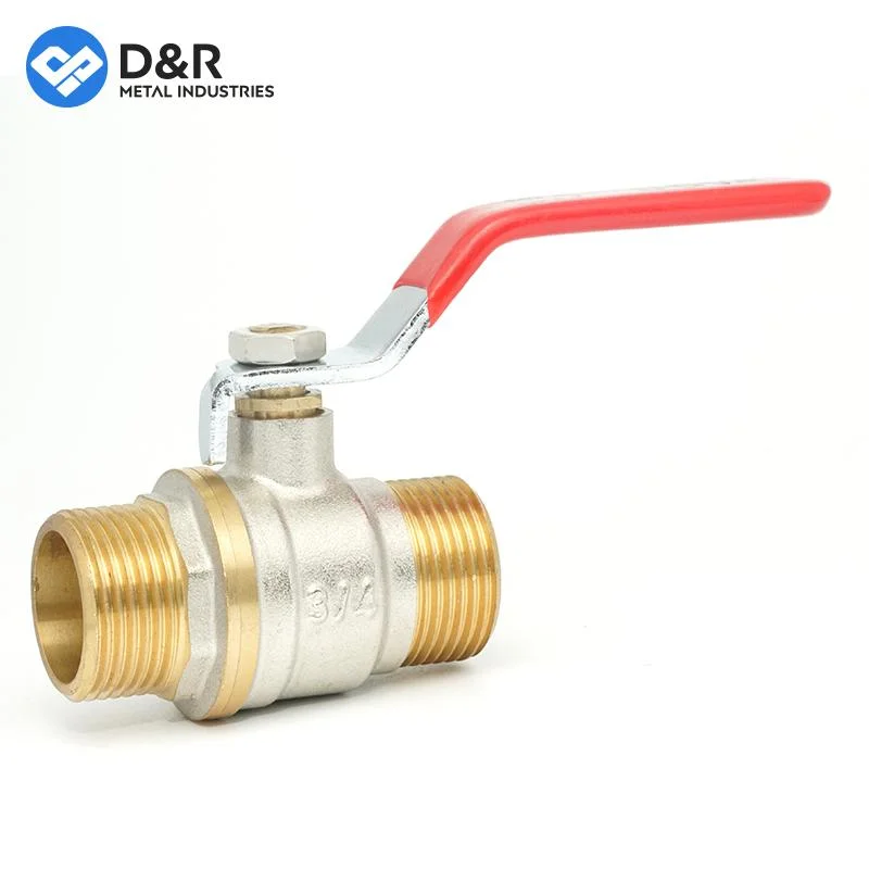 D&amp;R منفذ كامل 1-1/2" سلك ذكر NPT 600 رطل لكل بوصة مربعة/سلك سجل حز سن سن سن سن صمام كاس حر