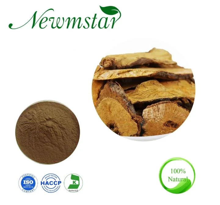 Herbal Extract Giant Knotweed Extract Powder 20: 1/ Polygonum Cuspidatum Extract with 50% Resveratrol