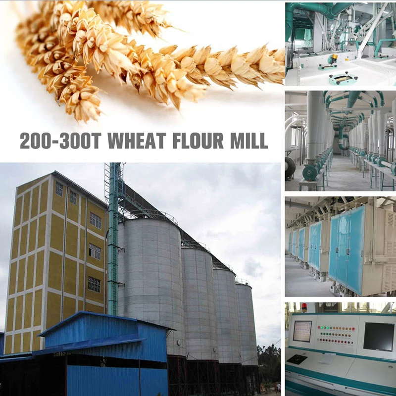 Professional Manufacture Wheat Machines Flour Processing