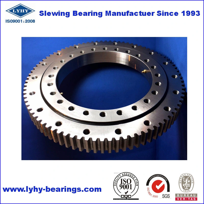 864mm Small Diameter Slewing Bearing for Truck Mounted Crane