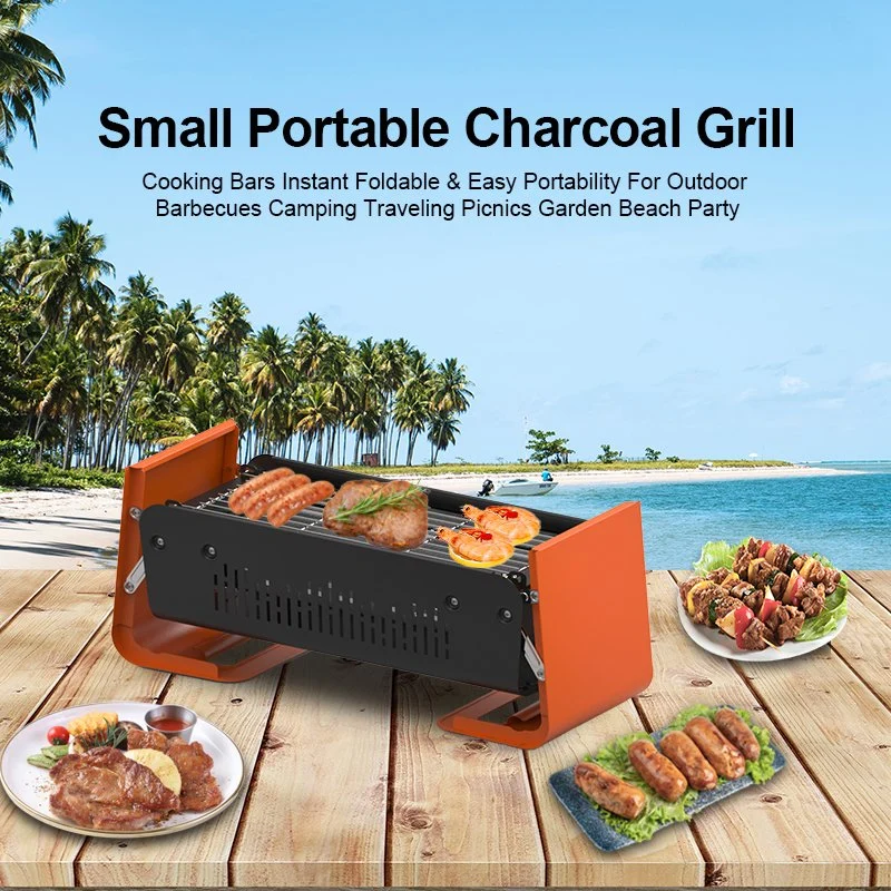 Grill Master Stainless Steel Expert Grill Portable Charcoal Grill Multi Fuel Best Car Folding Camping Stove