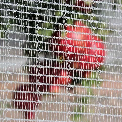 Insect and Bird Barrier Net with Drawingsting, Plant Covering Garden Insect Proof Net