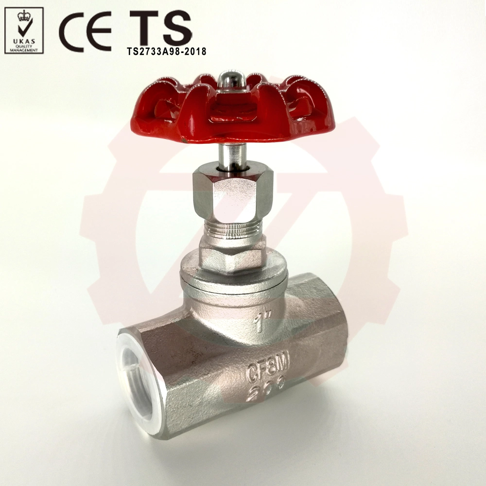 316L Pn10 10bar Swing Check Valve for Fuel Line