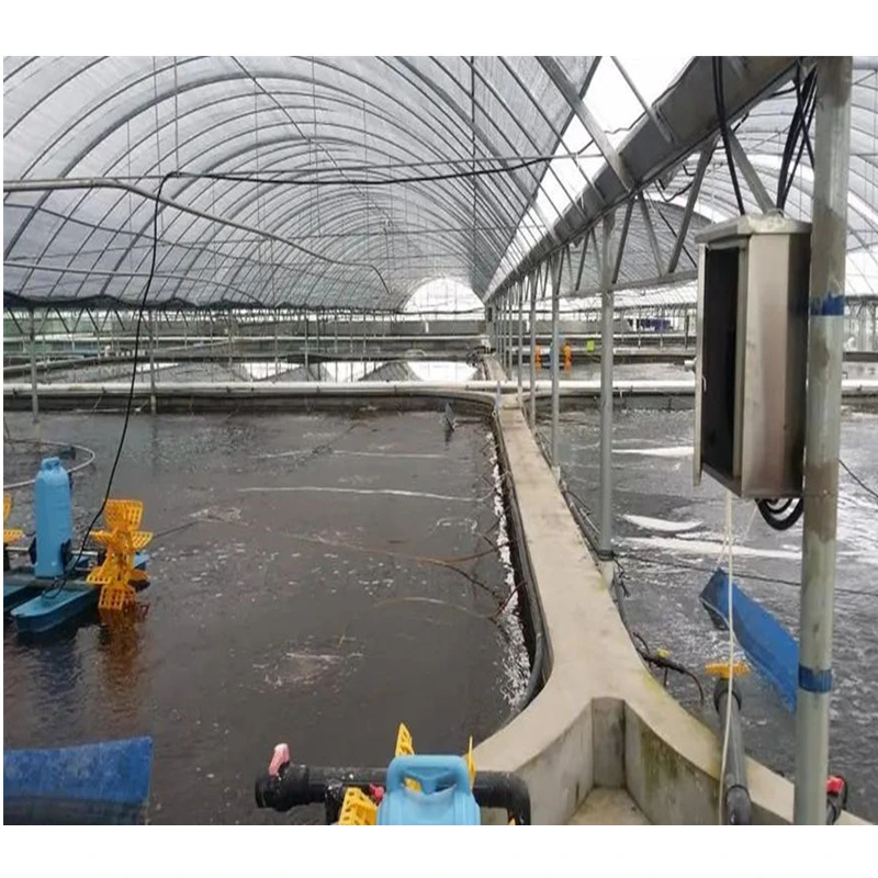 Multi Span Po/ PE Film Agricultural Greenhouse with Hydroponics Aquaponics System China Supplier for for Vegetables/Garden Green House