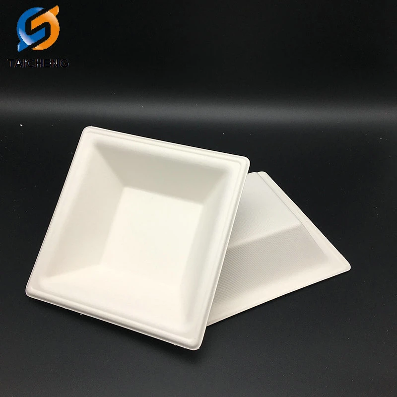 Disposable Square Biodegradable Sugarcane Bagasse Bowl with Lid