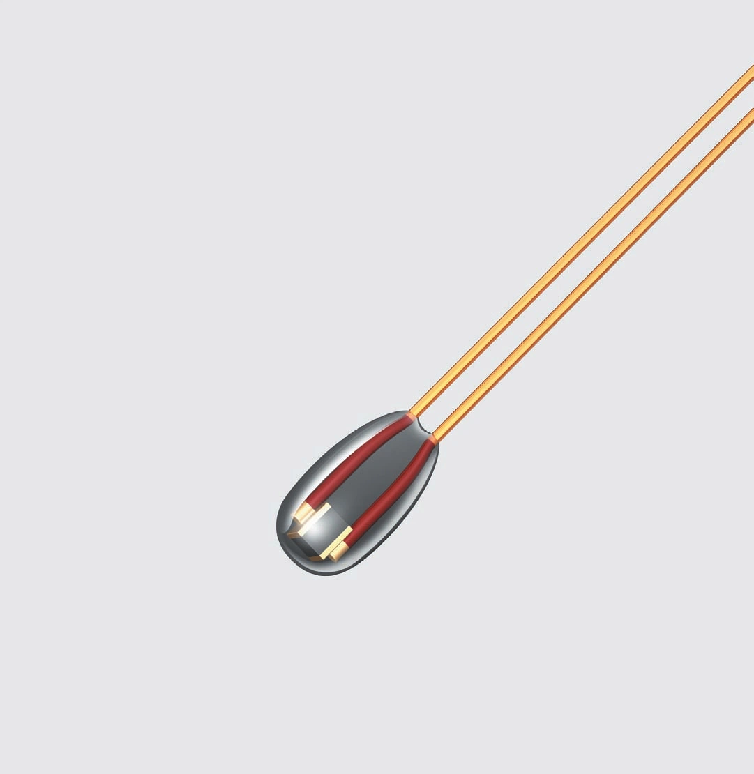 Food-Grade Hand-Held Straight Temperature Probe for Turkey Made-in-China