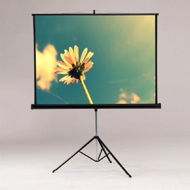 96X96 Inch Tripod Portable Projector Screen Floor Standing