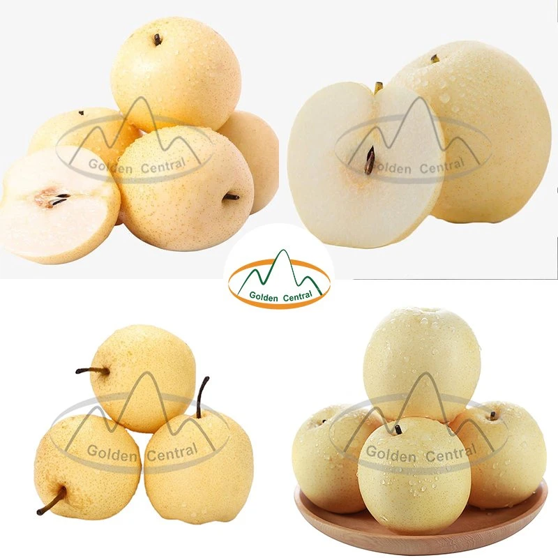 Sweet Juicy Yellow Chinese Fresh Crown Pear with Top Quality