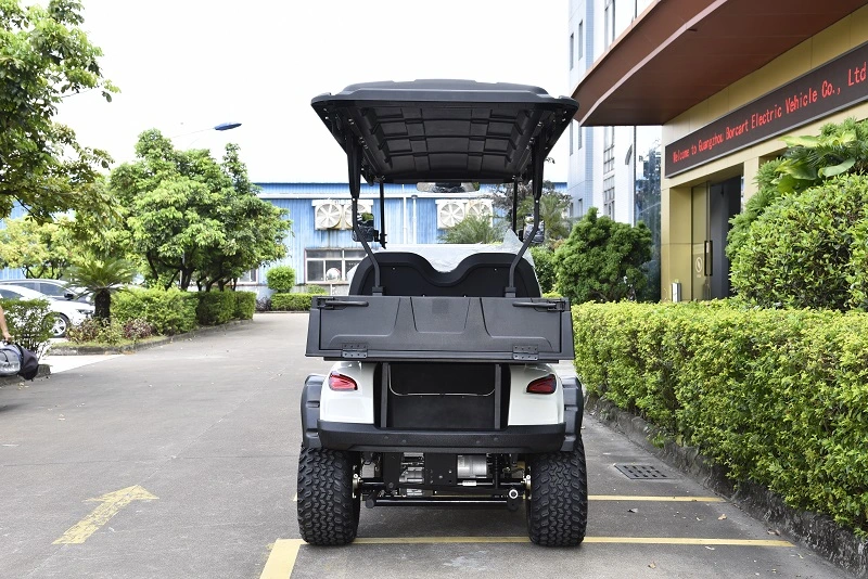 CE Certificated 2 Seater Electric Utility Vehicle with Cargo Box