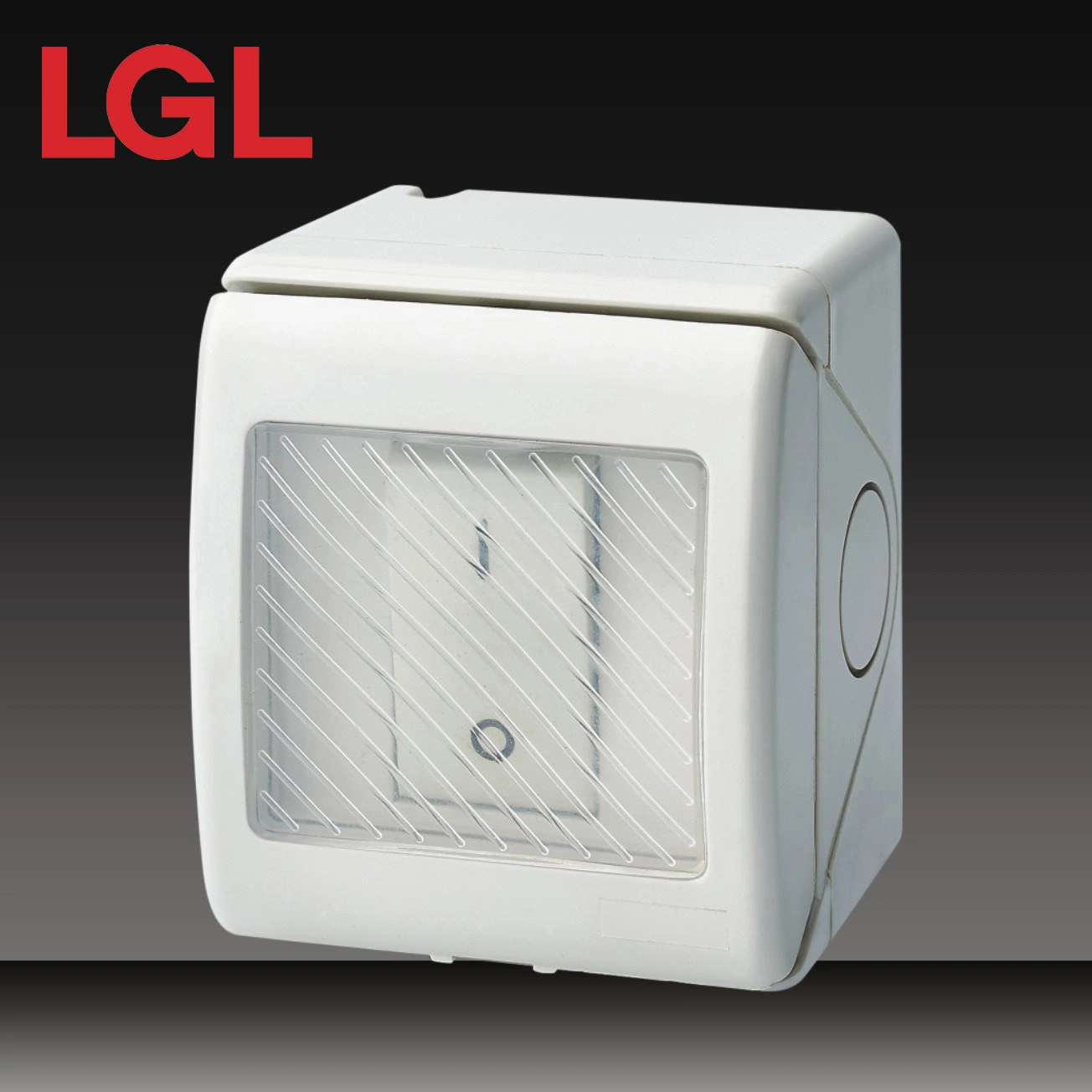 Material de alta Quslity PC cubierta impermeable Interruptor de botón y las tomas de corriente 1 Módulo de interruptor 13A 250V IP55 (LGL-1GS)