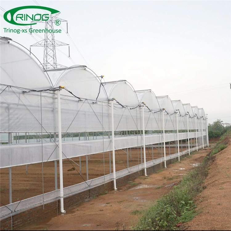 China Intelligent Large Scale Multi-span Film Greenhouse