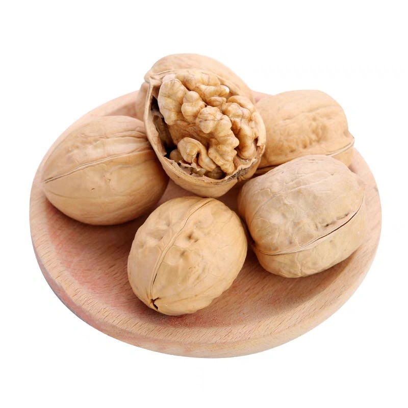 Healthy Snack Top Grade Organic Walnut Kernels Peeled Walnuts Nuts in Bulk From China Manufacturer