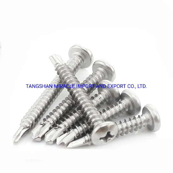 Factory Directly Supply Stainless Steel Self Tapping Screw/Driling Screw/Wood Screw