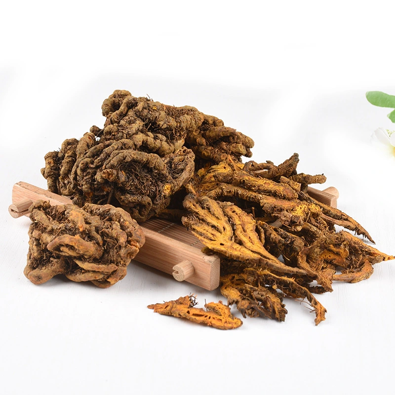 Huang Lian Chinese Goldthread Wild Chinese Herbs Medicine Dry Coptis Chinensis Root Slice Rhizoma Coptidis