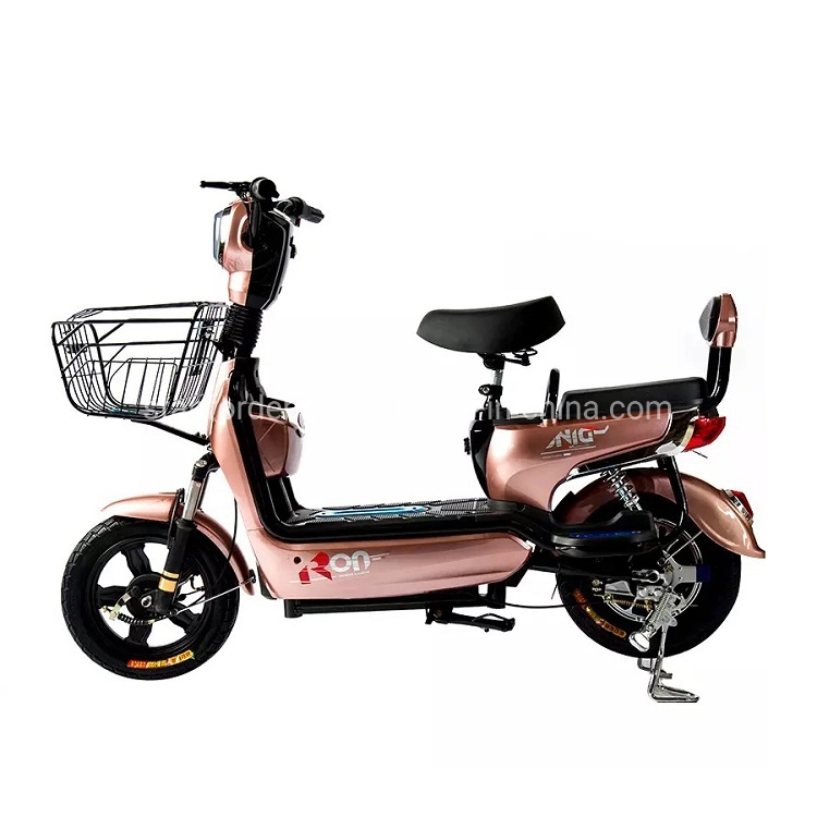 Electric Dirt Bike 48V Electric Cycle Electric Bike Wholesale/Supplier