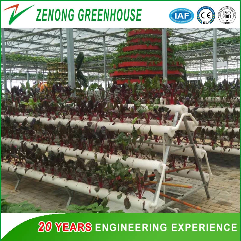 Agriculture Low Cost Smart PC Greenhouse with Hydroponic Growing System